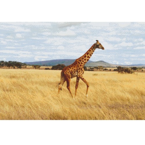 Žirafa 830007